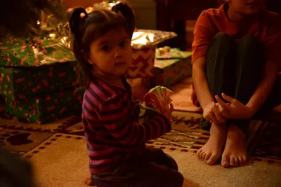 DSC_1000 (Large).JPG